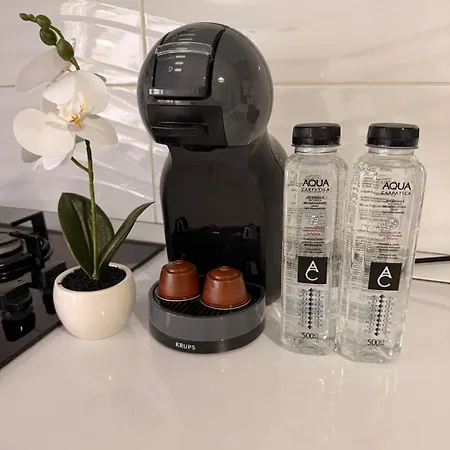 Grey Apartment-prelungirea Ghencea 公寓