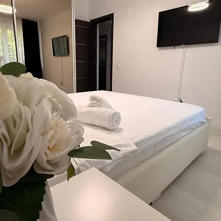 公寓 Grey Apartment-prelungirea Ghencea *