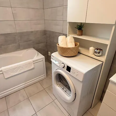 Grey Apartment-prelungirea Ghencea 公寓 *